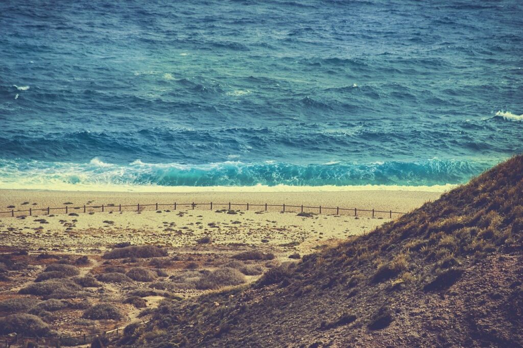 waves, beach, coast